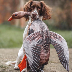 Dog & Field - The Original Clone - Dead Bird Dummy Goose - 1.5 kg thumbnail