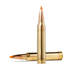 Se Norma Tip Strike 300 Win. Mag. 11,0g / 170 gr. - 20 stk. hos Hunterspoint