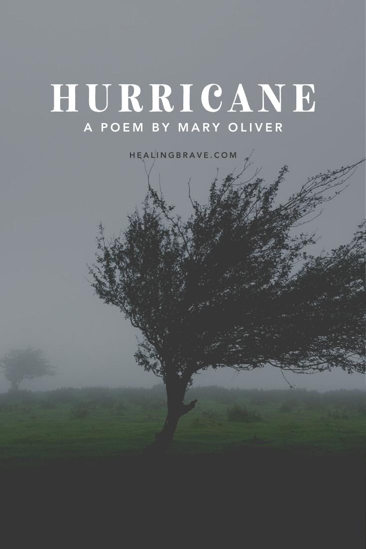 This poem, titled "Hurricane," is an example, as all true poetry tends to be, of exploring an element of life with such clarity and finding cause to look inward. If we're mindful and willing, what happens around us can be a catalyst for self-understanding. We learn that we see in the world what we carry in our hearts.