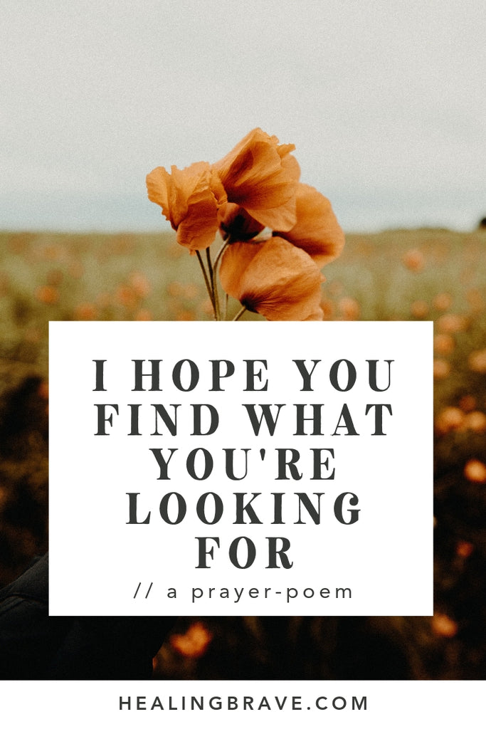 I hope you look for one thing and, by chance, find something else beautiful and true. I hope that wherever you look, you see a piece of yourself in everything, and recognize in yourself an entire universe... In the end, I hope you find what you're looking for, especially when it's not what you set out to find.