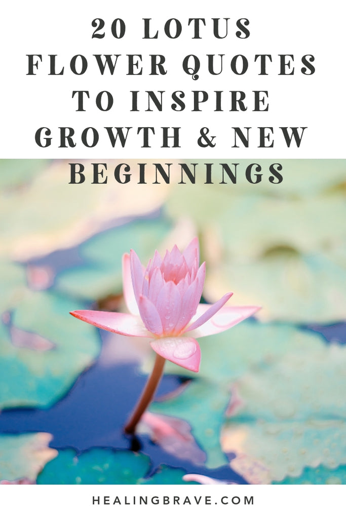 20 Lotus Flower Quotes to Inspire Growth & New Beginnings– Healing Brave
