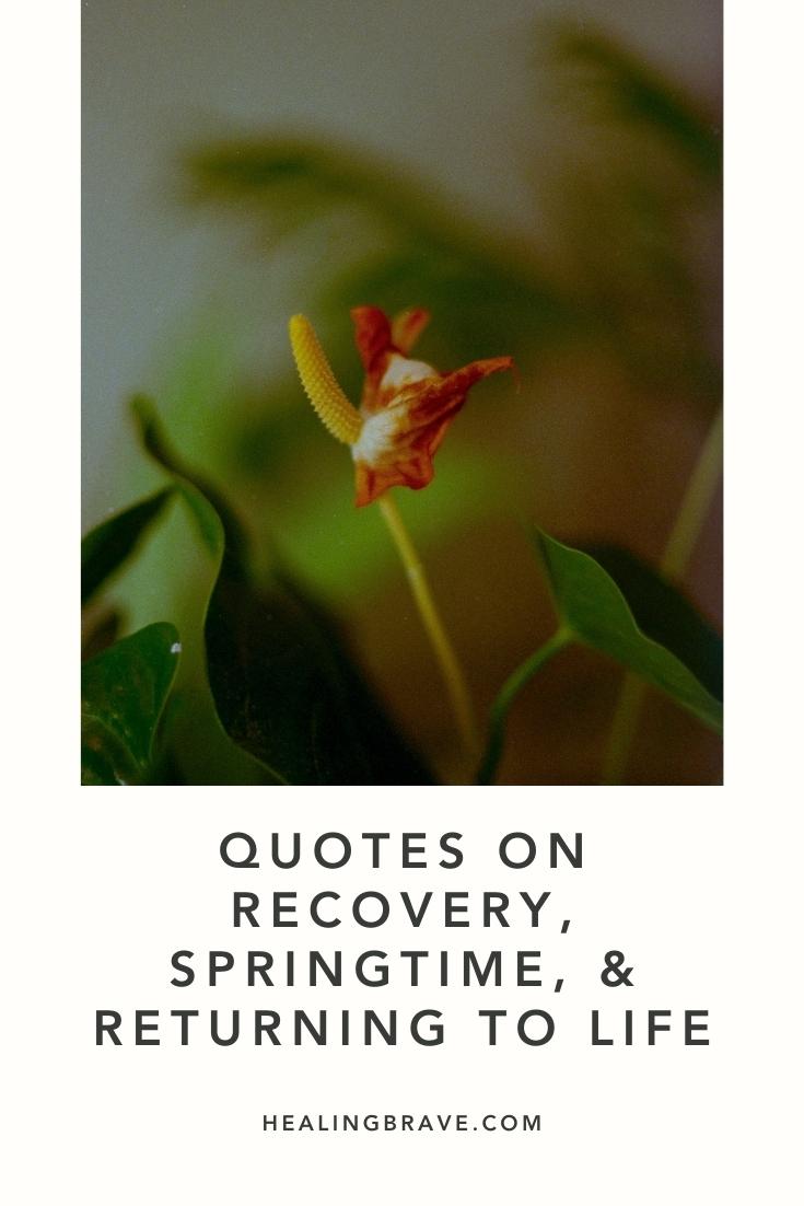 This is an eclectic collection of quotes that speaks the essence of recovery, springtime, and your coming back to life. This is for those of us who have felt unwell or run down and tried to push through it. We know better now. Here’s to everyone who needs a break or a miracle or a total change of pace. Here's to asking for help when you need a little, and trusting what comes next.