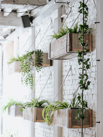 kitchen décor