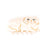 Persian Cat Hair Claw