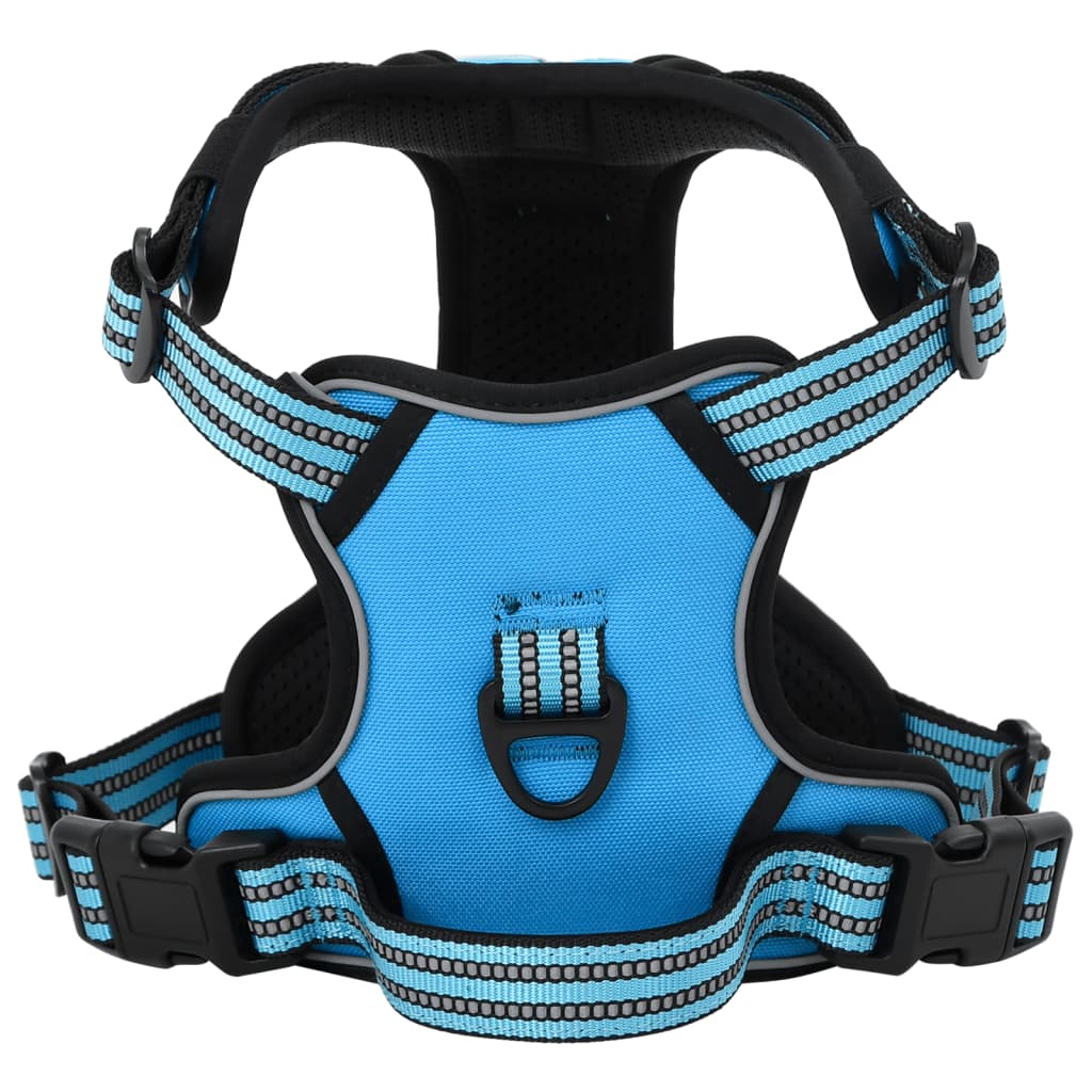 Image of Pettorina per cani con guinzaglio e collare regolabili x L Blu 02_0042334