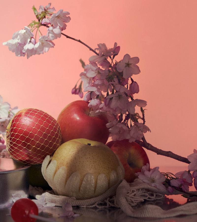 Editorial shot of pink cherry blossoms surrounded by yellow and red apples on a table with a pink orange background.