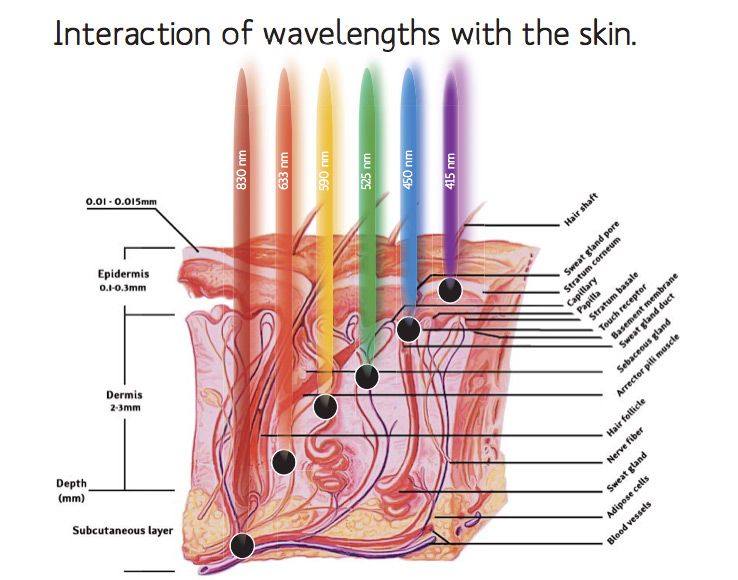 led beauty light shield, led beauty mask, led light therapy singapore