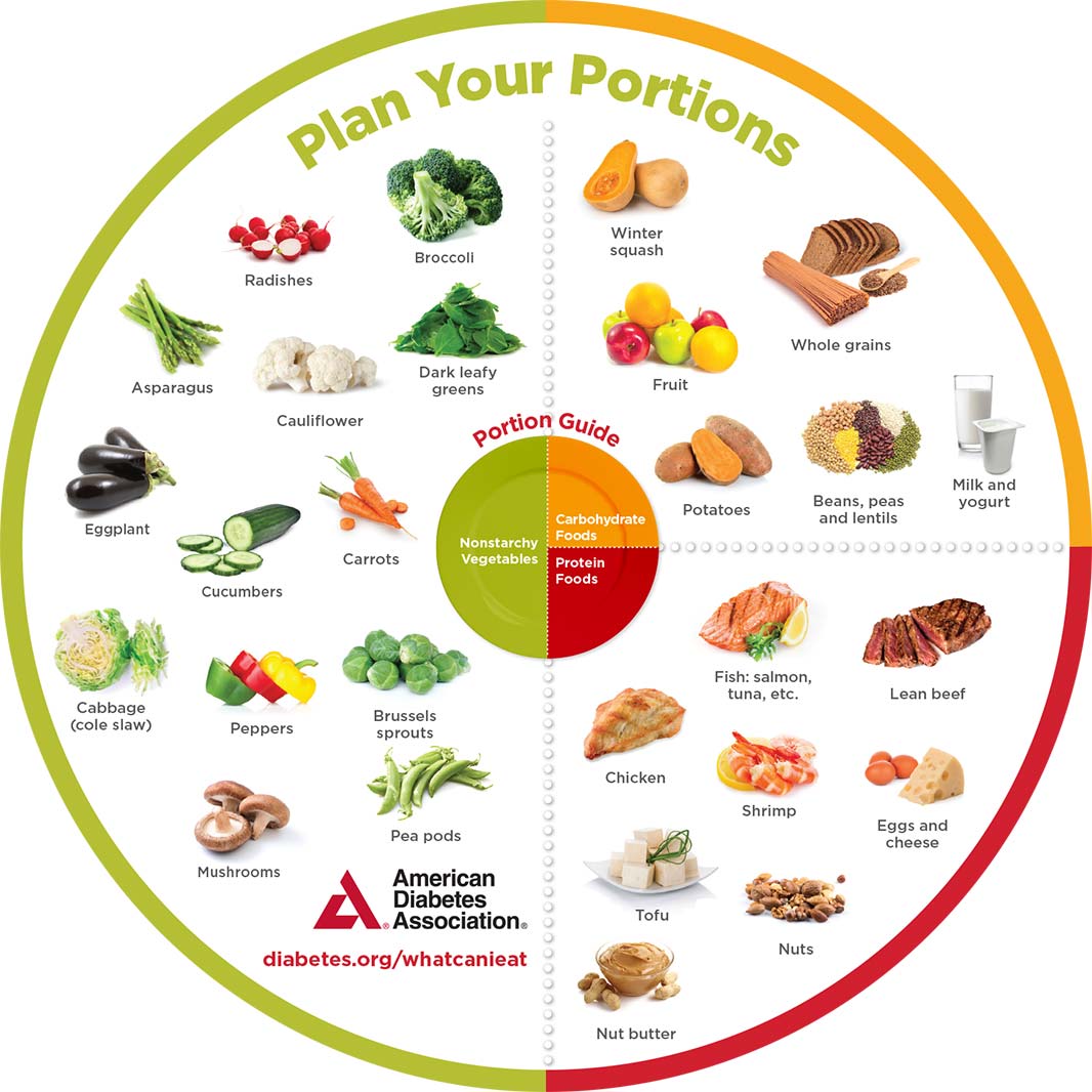 Diabetes Plate Method Portion Wheels 25pkg Store From The American 8211