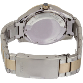 Fossil Womens ES3204 Riley Silver and Gold Tone Watch