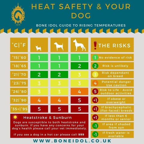 Bone Idol | Guide: Summer, Heat & Your Dog's Health