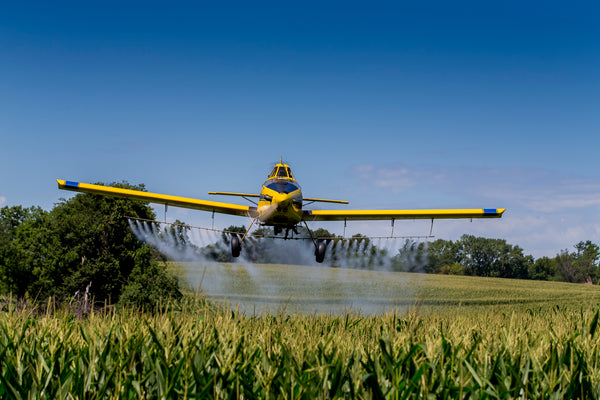 crop duster spraying wheat with pesticide