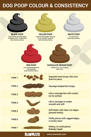 Dog Poop Colour consistency chart