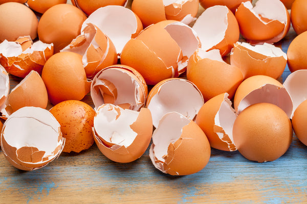 A pile of discarded egg shells used in Rawmate raw diet plans for dogs