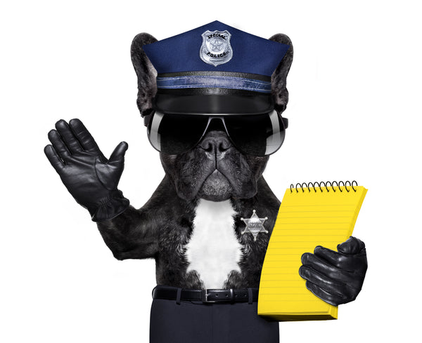 French Bulldog Policeman Putting A Stop to shitty quality food for Rawmate