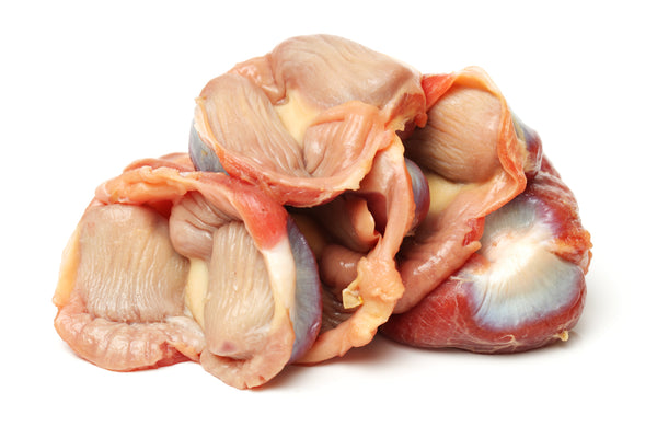 Raw Chicken Gizzards a favourite for the dogs on a white background for Rawmate muscle meat article