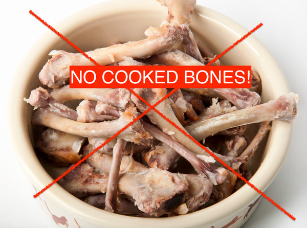 Cooked Bones are BAD