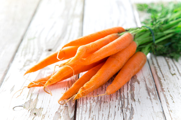 farm fresh carrots