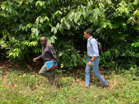 Kolanut farm meeting in Nigeria