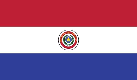 Buy inks in Paraguay