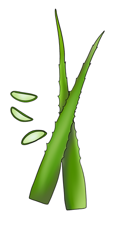 Aloe-vera-ingredient-foam