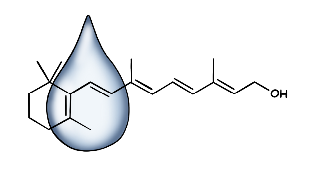 Glycerin-ingredient-foam