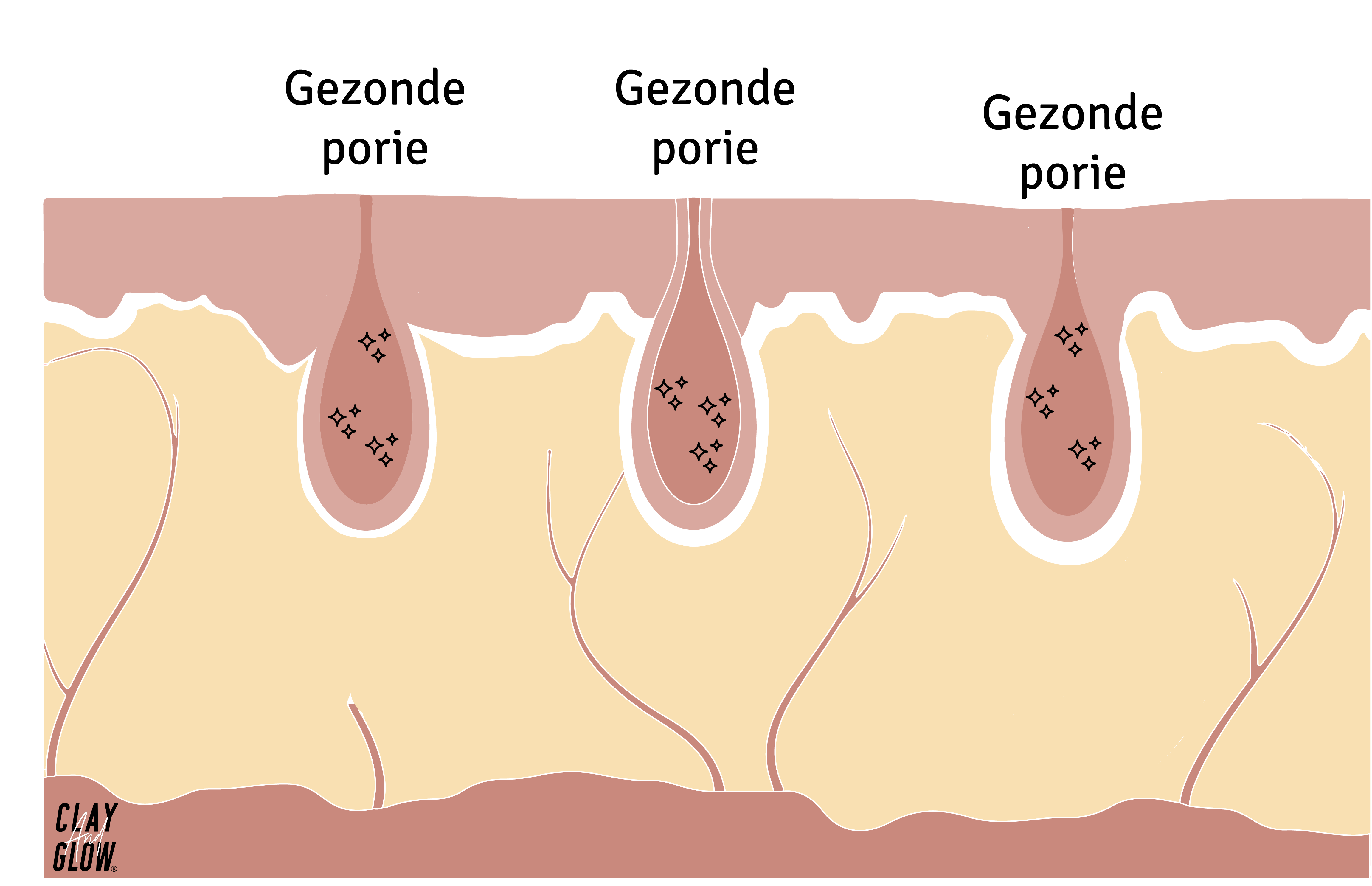 uitleg van gezonde poriën