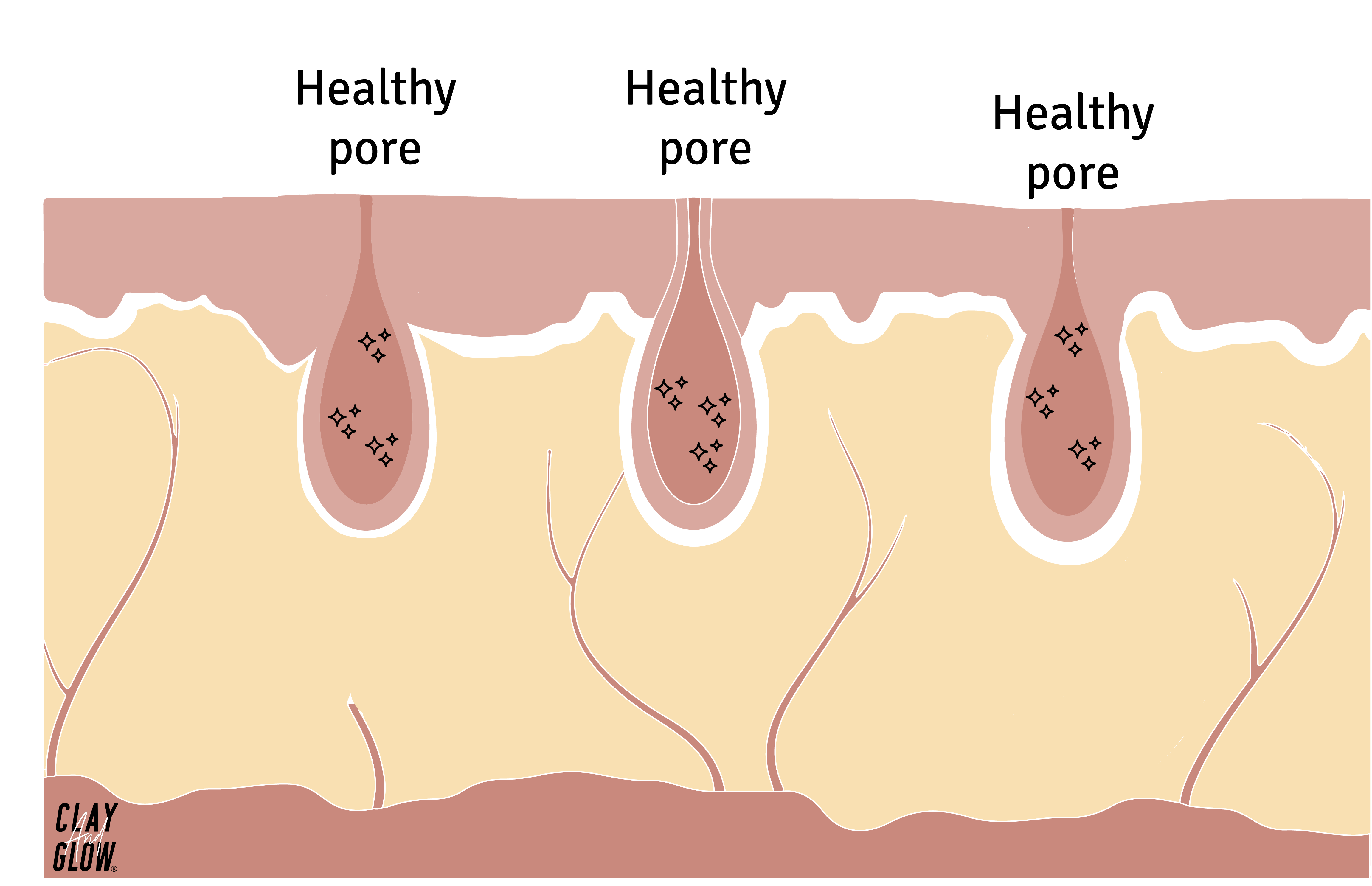 reconstruction of healthy, glowing pores