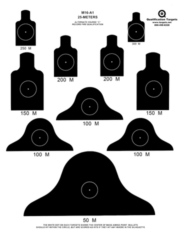 M16A1 paper target