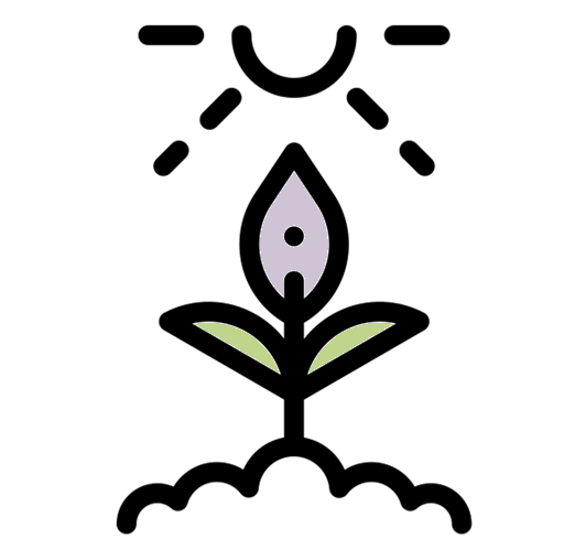 endless potential growth transformation mindfulness jounral activity 