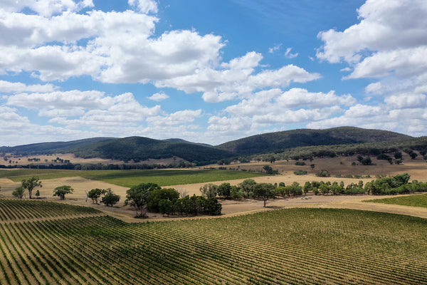 Tamburlaine's Bellview vineyard in the Orange Wine Region