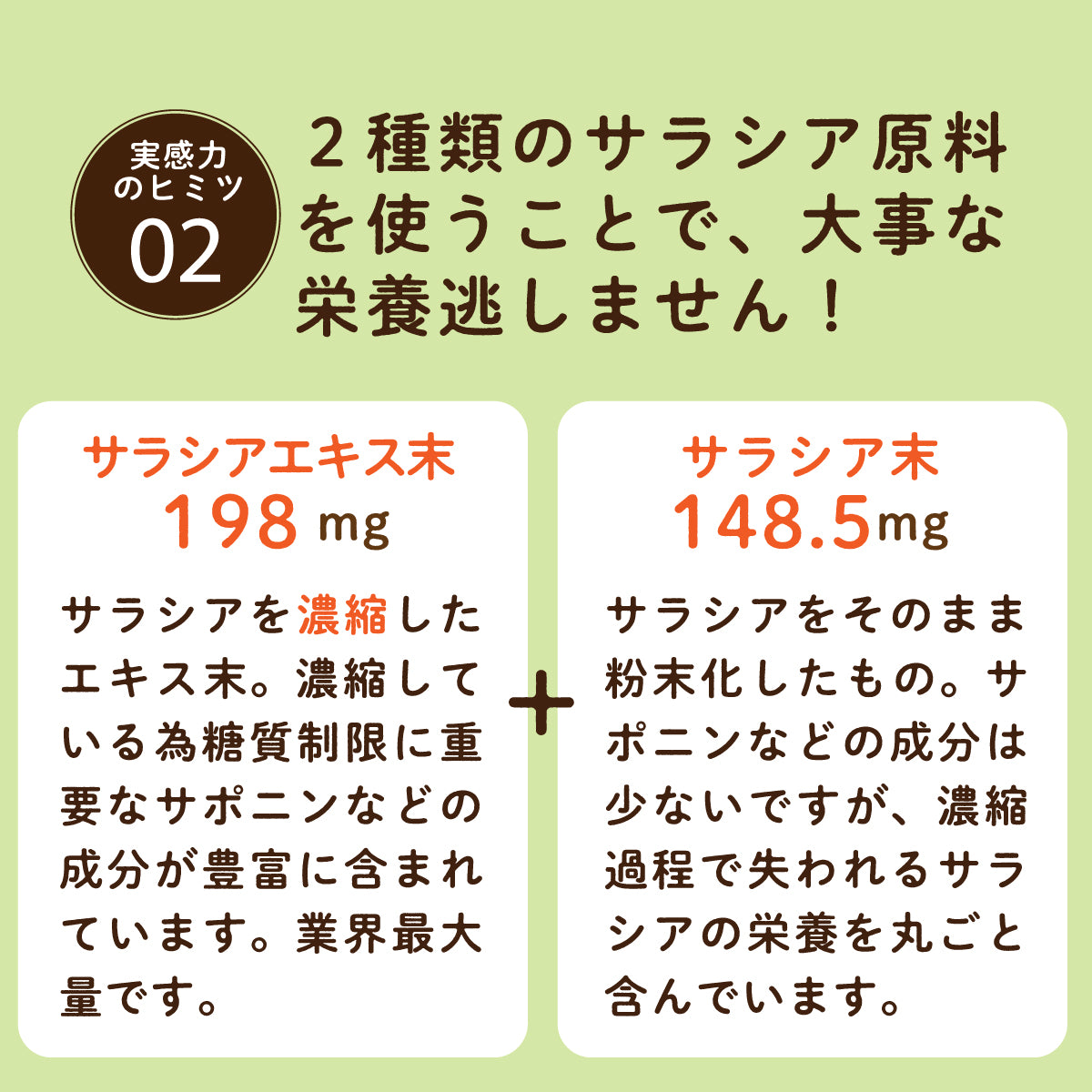 レビュー高評価のおせち贈り物 サラシアエキス サラシア茶 濃縮 tdh