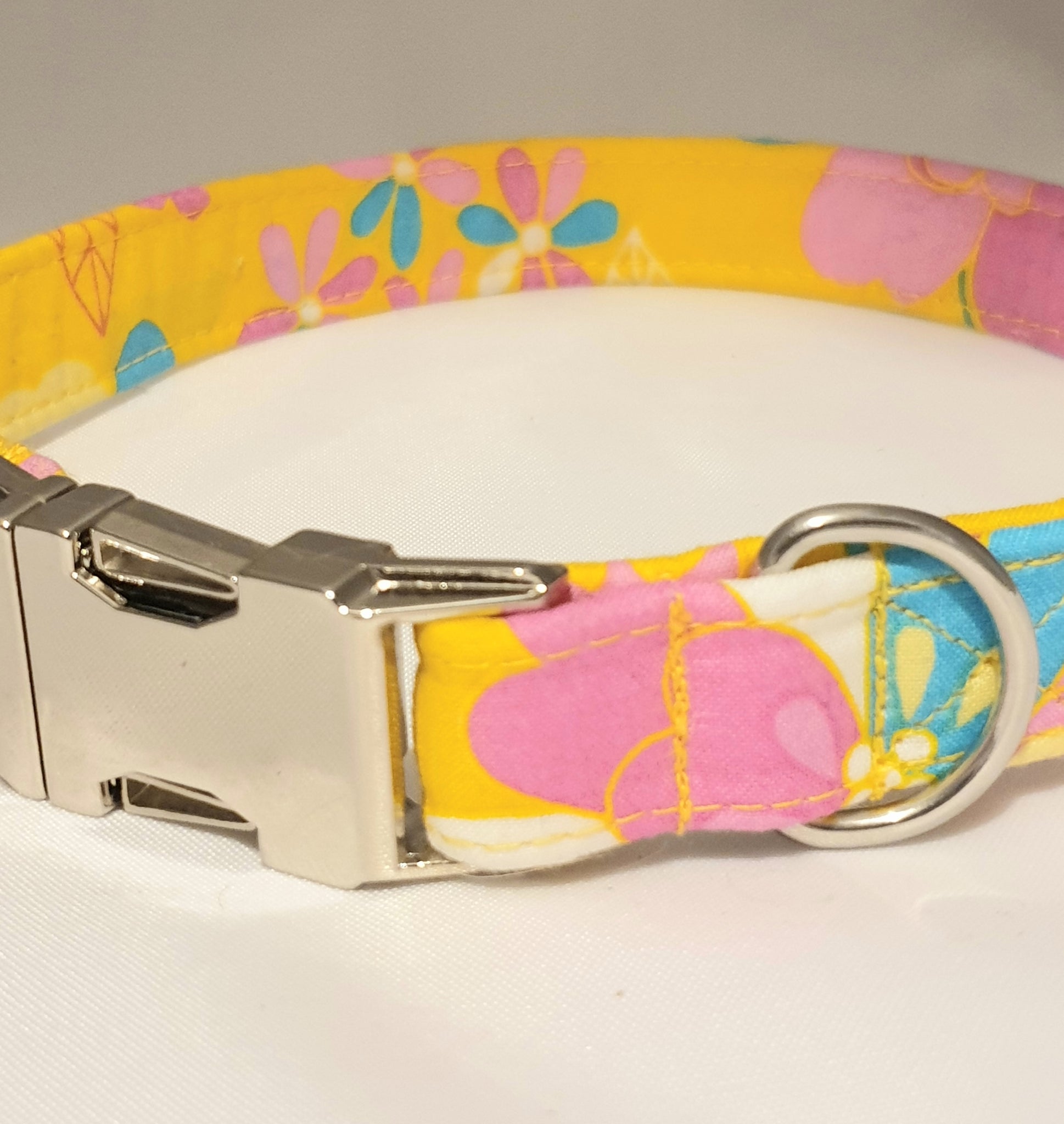 sunshine dog collar