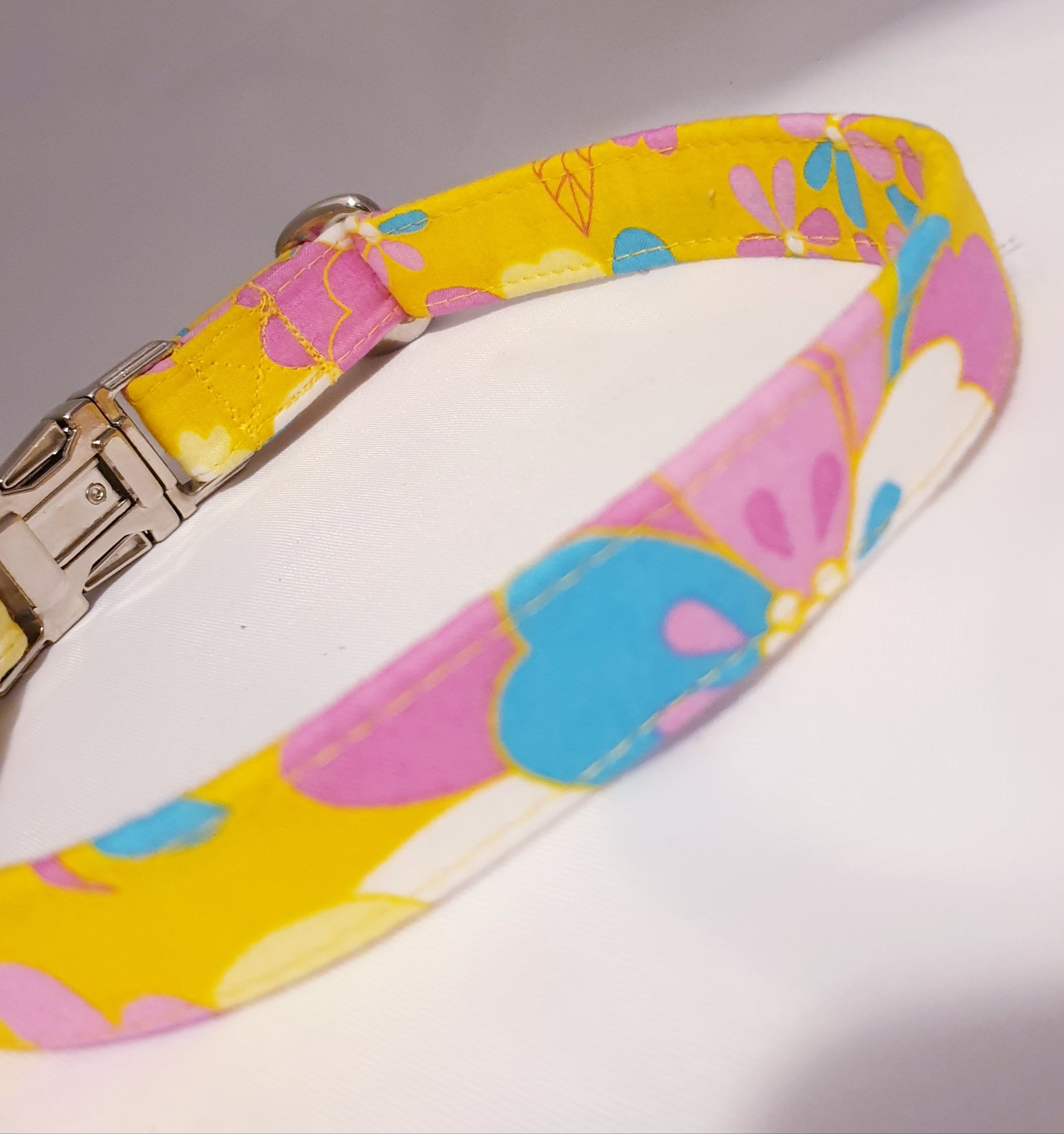 sunshine dog collar