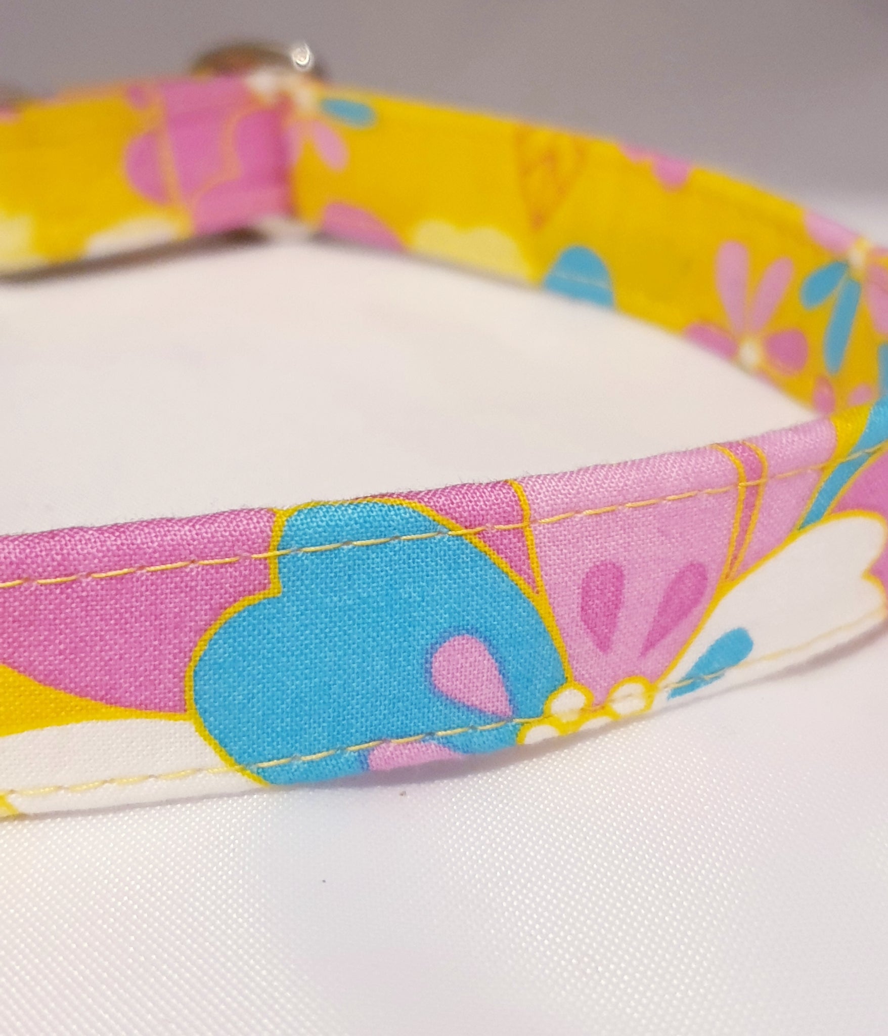 sunshine dog collar