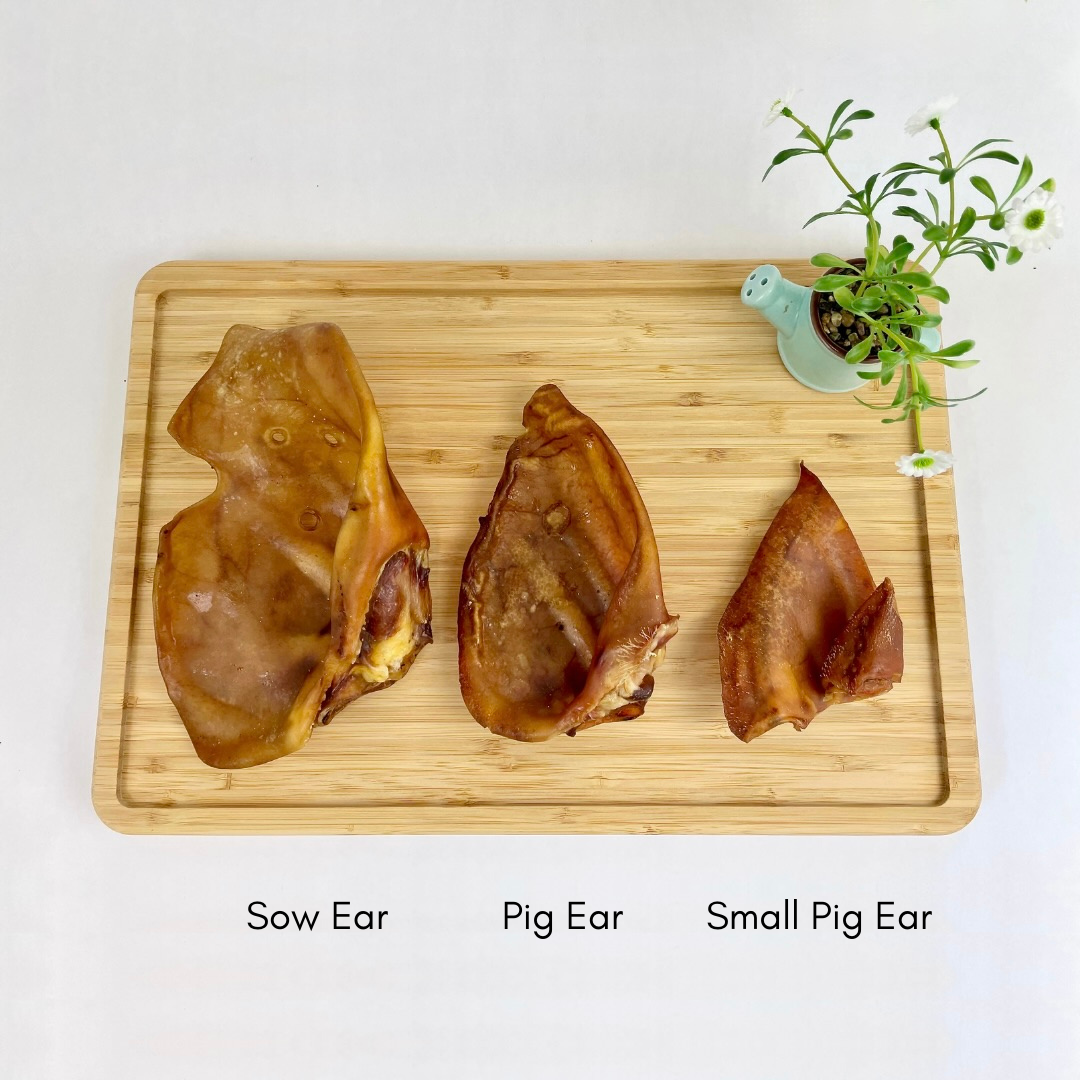 are pig ears better for a harrier than rawhide ears