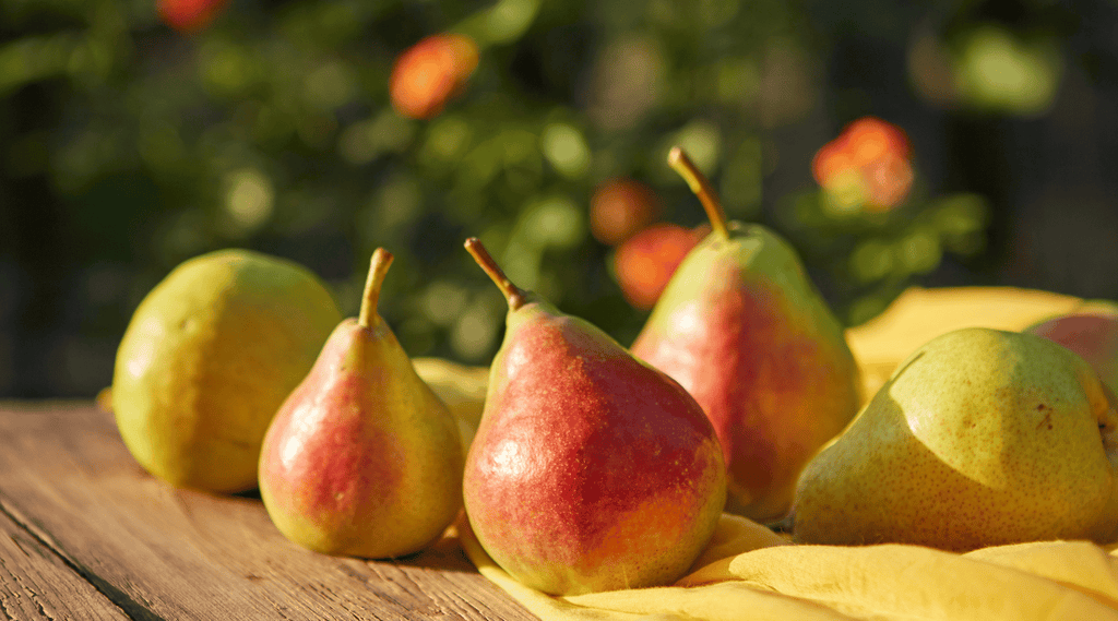 Pears to nourish skin