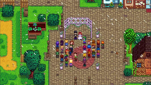 stardew wedding