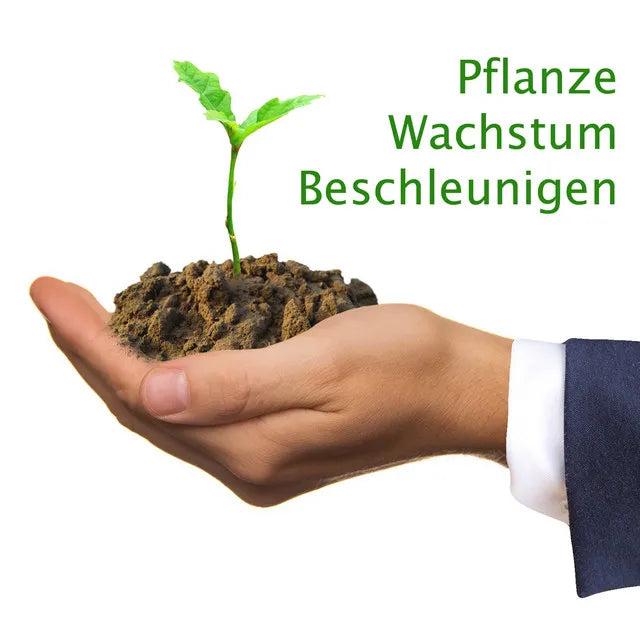 Pflanze Wachstum Beschleunigen