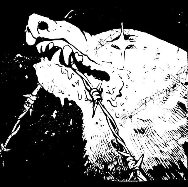 BITWVLF Background Image