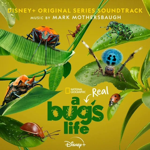 A Real Bug's Life (Original Series Soundtrack)