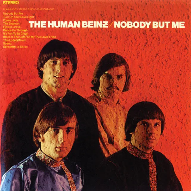 The Human Beinz Background Image