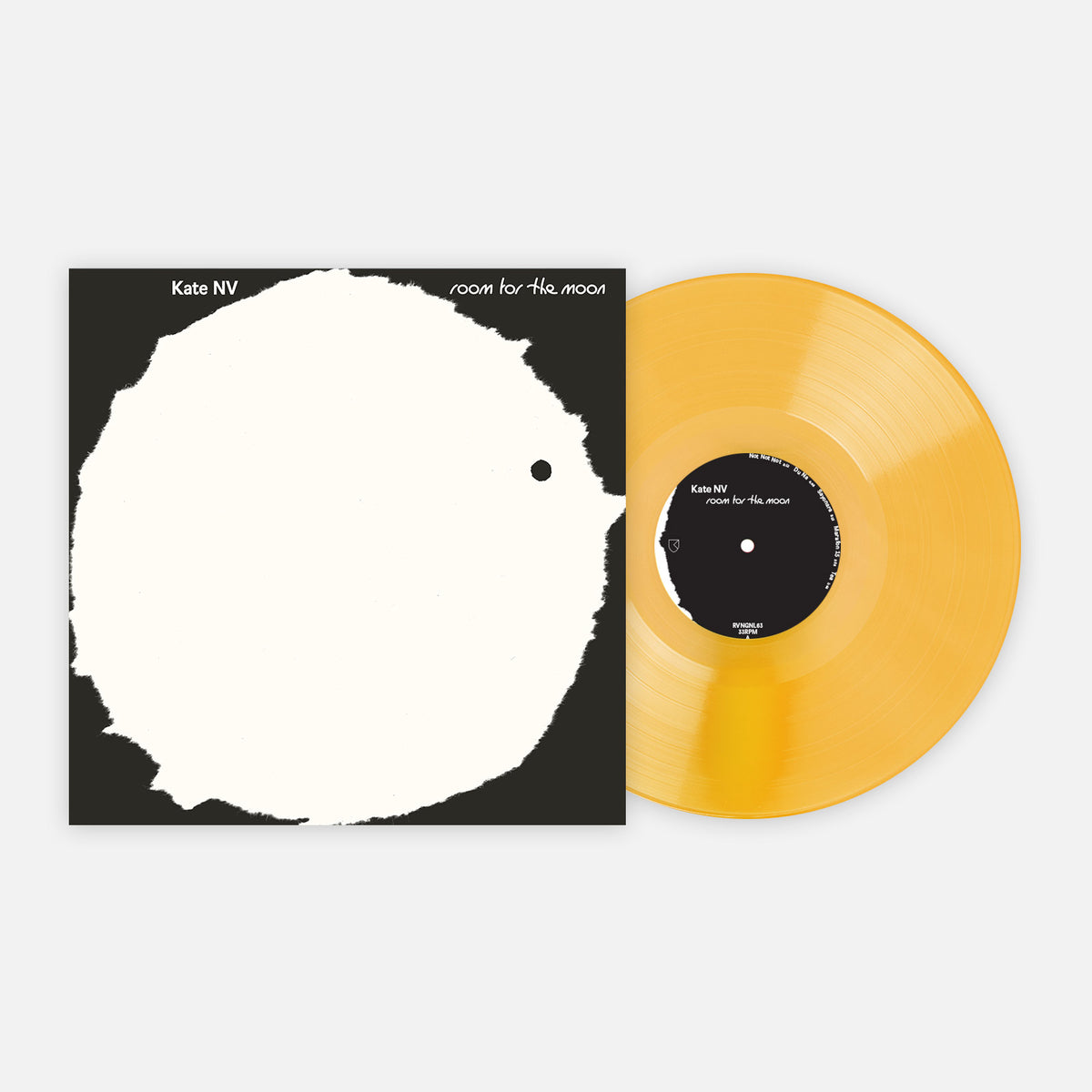 www.vinylmeplease.com