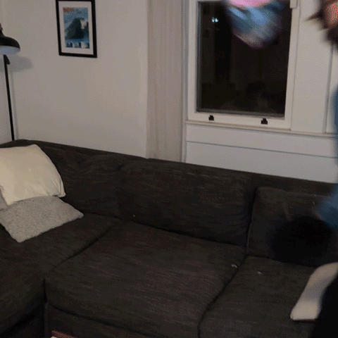 couch catch
