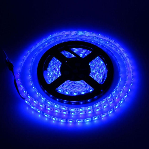 blue led rope light 12v