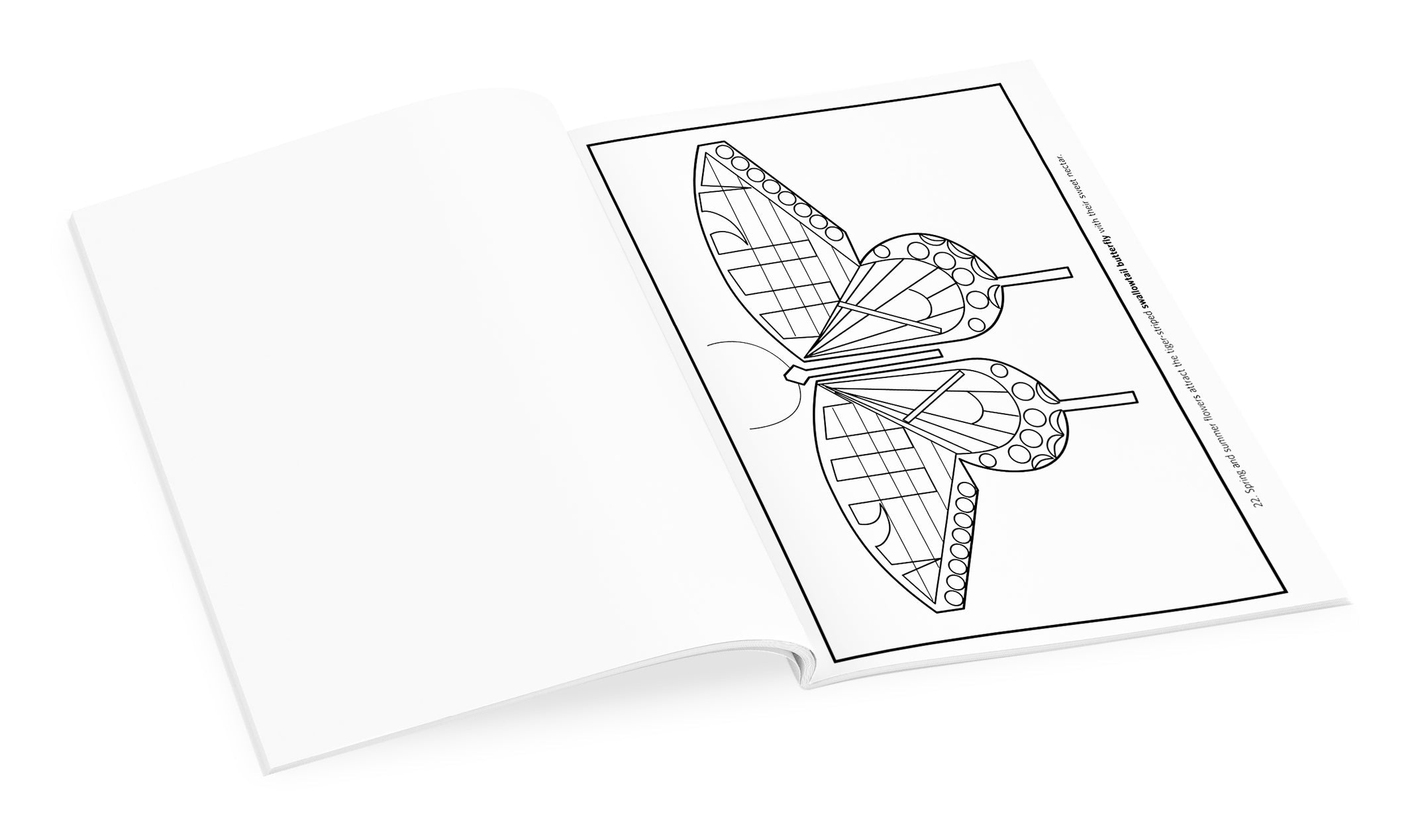 Charley Harper Volume 1 Coloring Book — Bird in Hand