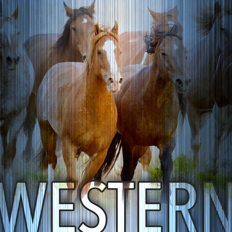 Western – Mill Creek Entertainment