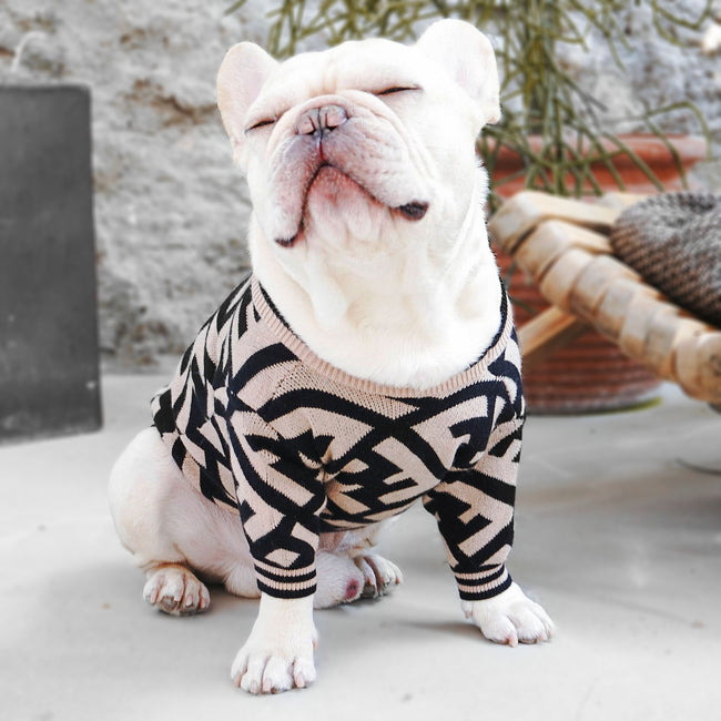 fendi dog shirt