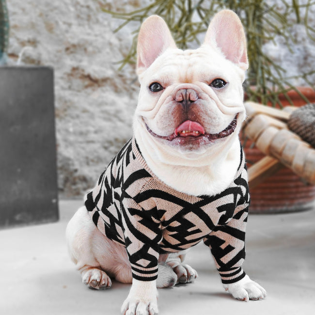 fendi dog sweater