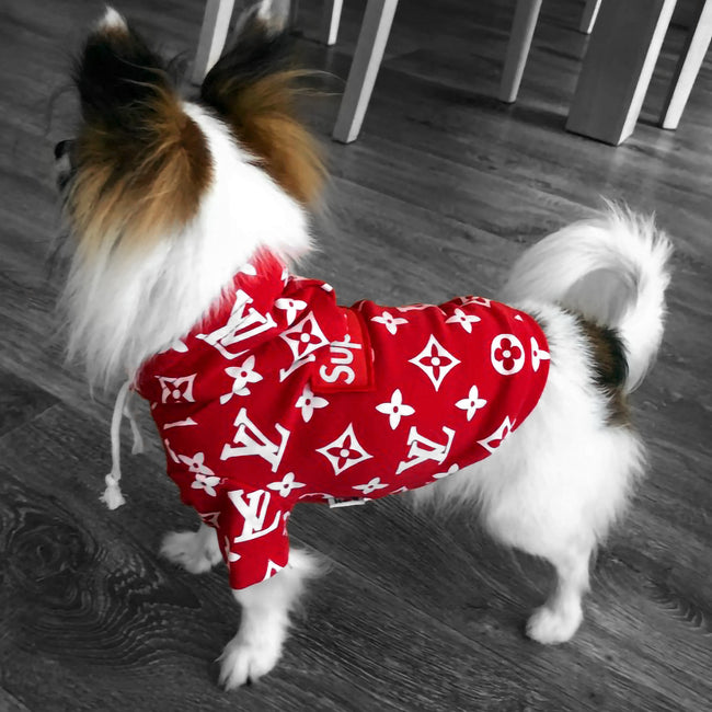 Supreme x Louis Vuitton Dog Hoodie - FREE SHIPPING – DogshionNova