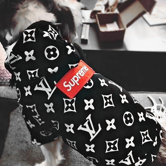 supreme hot dog hoodie